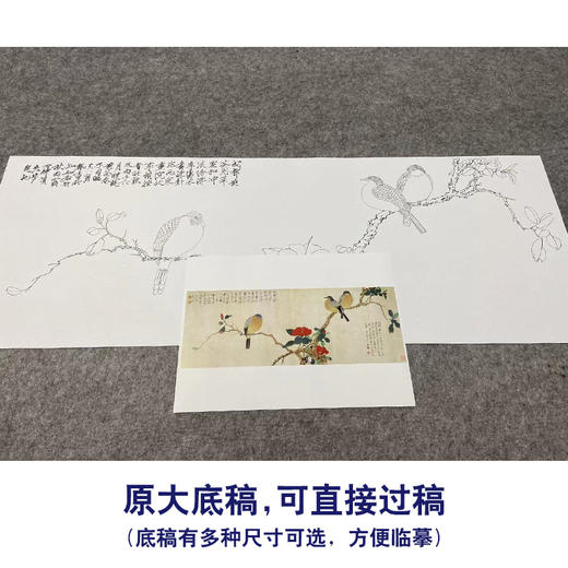 于非闇横幅工笔花鸟白描底稿-茶花斑鸠-YF20 商品图1