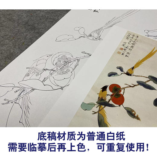 于非闇竖幅工笔花鸟白描底稿-柿子-事事如意《红柿绶带》-多种白描尺寸可选-YF49 商品图3