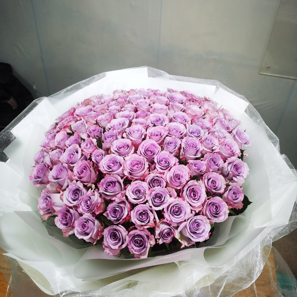 【女王】99朵紫玫瑰紫美人 请提前3天预订下单 - 小丑鲜花