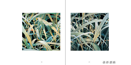 Franz Gertsch: Polyfocal Allover /弗朗兹·格茨 商品图4