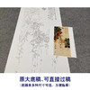 于非闇竖幅工笔花鸟白描底稿-鹦鹉-YF18 商品缩略图1