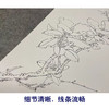于非闇竖幅工笔花鸟白描底稿《山茶伯劳》-多种白描尺寸可选-YF54 商品缩略图4