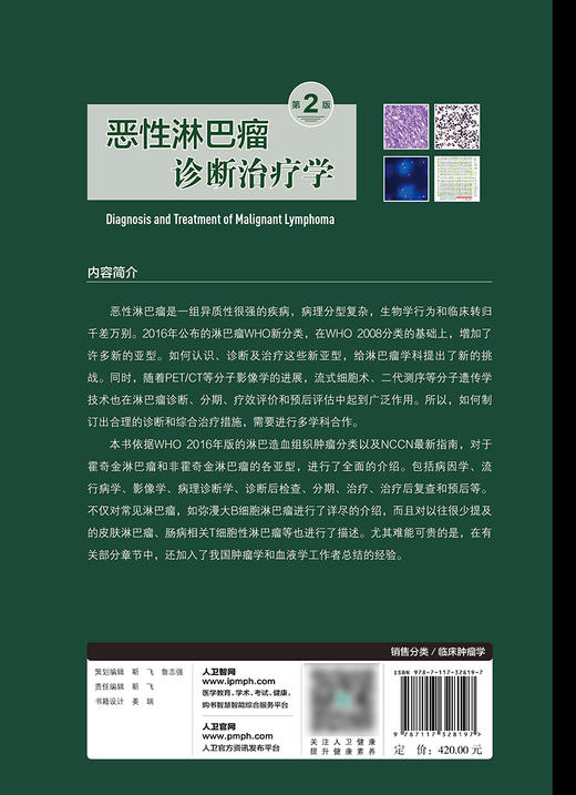 无货已下架 恶性淋巴瘤诊断治疗学 第2版 淋巴瘤发病机制、预后因素及诊疗新进展 林桐榆 朱军 高子芬 主编 9787117328197人民卫生出版社 商品图3