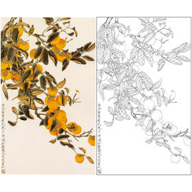 于非闇竖幅工笔花鸟白描底稿-柿子-事事如意-《丹柿》-多种白描尺寸可选-YF48