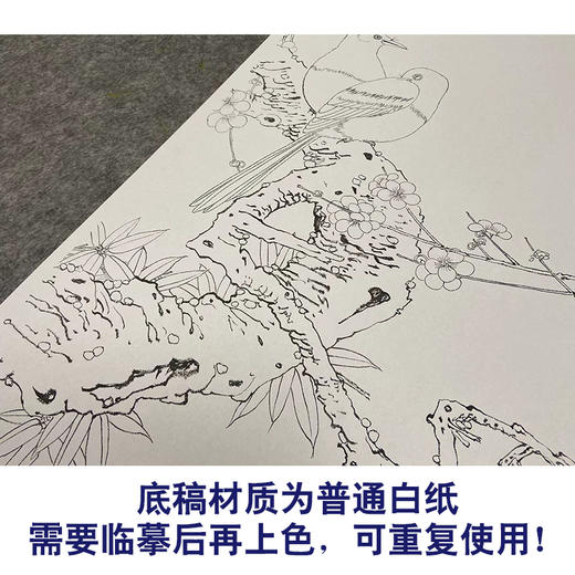 于非闇竖幅工笔花鸟白描底稿-喜鹊-《梅花双喜图》-多种白描尺寸可选-YF04 商品图3