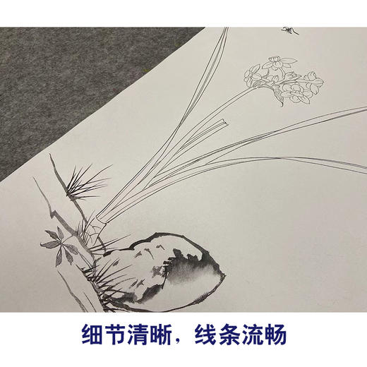 于非闇竖幅工笔花鸟白描底稿-水仙花蝴蝶-YF38 商品图4