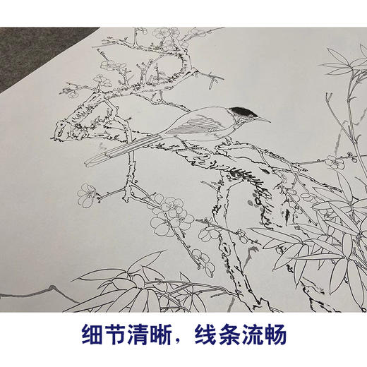 【大彩图】于非闇工笔画白描底稿《仿崔白-梅竹双清图》梅花临摹勾线高清打印稿YF15 商品图4