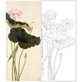 于非闇竖幅工笔花鸟白描底稿-荷花《亭亭玉立》-多种白描尺寸可选-YF39
