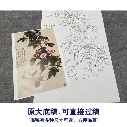 于非闇竖幅工笔花鸟白描底稿-牵牛花-YF21 商品图1