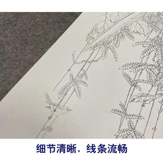 于非闇竖幅工笔花鸟白描底稿-鹦鹉-YF18 商品图4