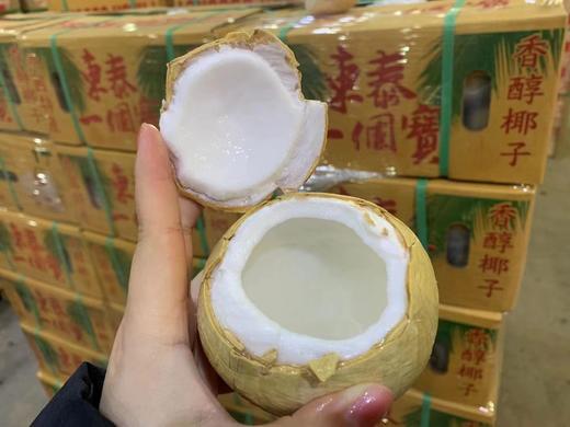 东泰国宝椰皇 椰子才是夏天的味道 商品图5