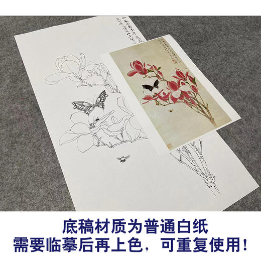 于非闇竖幅工笔花鸟白描底稿-红玉兰花《辛夷引蜂蝶》-多种白描尺寸可选-YF42 商品图3