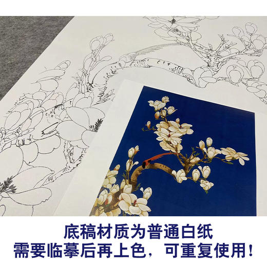 于非闇竖幅工笔花鸟白描底稿《玉兰绶带》-多种白描尺寸可选-YF08 商品图3