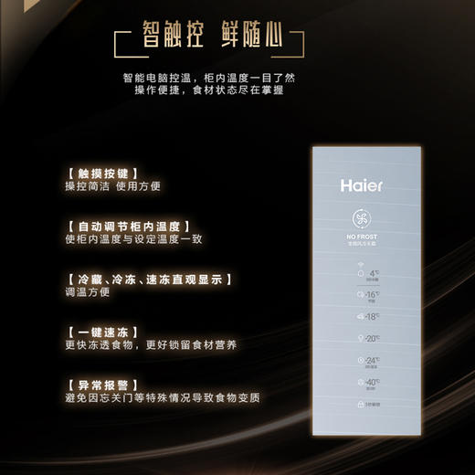 海尔BD-226WEGLU1立式冷冻柜 商品图3