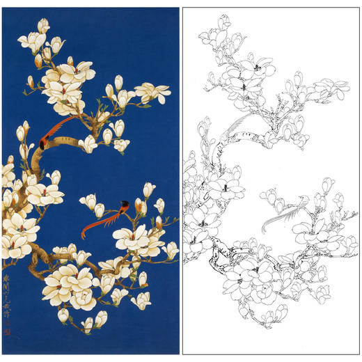 于非闇竖幅工笔花鸟白描底稿玉兰绶带多种白描尺寸可选yf08