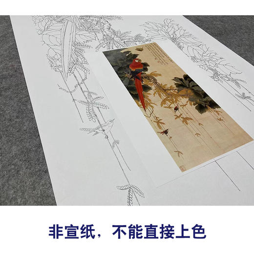 于非闇竖幅工笔花鸟白描底稿-鹦鹉-YF18 商品图2