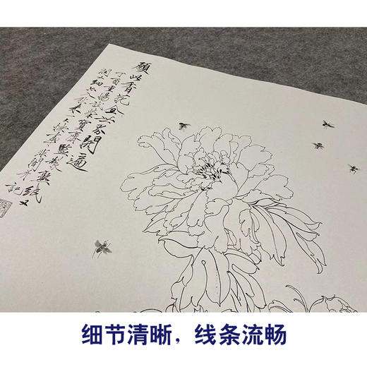 于非闇竖幅工笔花鸟白描底稿-粉牡丹-YF28 商品图4