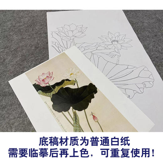 于非闇竖幅工笔花鸟白描底稿-荷花《亭亭玉立》-多种白描尺寸可选-YF39 商品图3