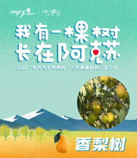 【团队香梨树】2022我为汽车种棵树“我有一棵树 长在阿克苏”之香梨来了 公益香梨树认种