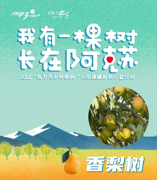【团队香梨树】2022我为汽车种棵树“我有一棵树 长在阿克苏”之香梨来了 独享香梨树认种 商品图0
