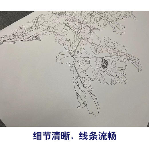 于非闇牡丹竖幅工笔花鸟白描底稿《画众生墨》-多种白描尺寸可选-YF02 商品图4