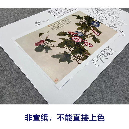 于非闇竖幅工笔花鸟白描底稿-牵牛花-YF21 商品图2