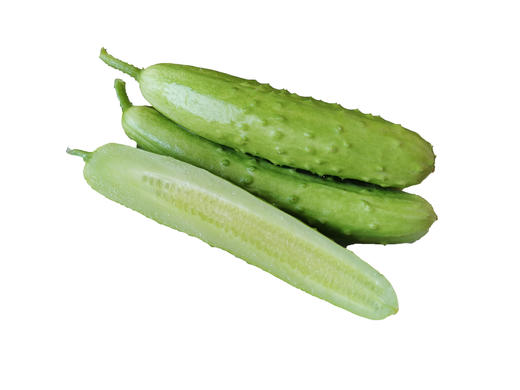 有机白玉黄瓜3斤 商品图2