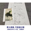 【大彩图】于非闇工笔画白描底稿《白荷蜻蜓》荷花临摹勾线高清打印稿YF06 商品缩略图1