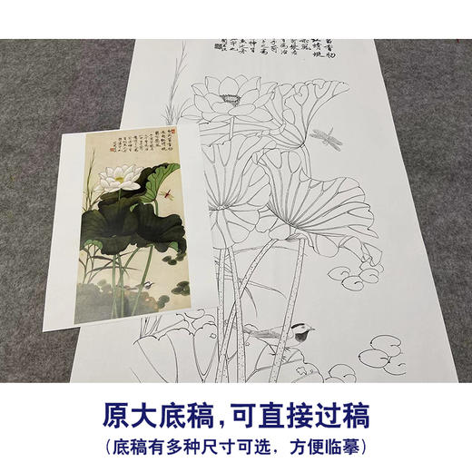 【大彩图】于非闇工笔画白描底稿《白荷蜻蜓》荷花临摹勾线高清打印稿YF06 商品图1