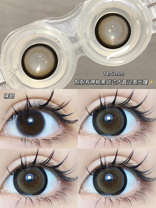 【大直径日抛】费列罗 Papadox | 大直径14.5 , 着色14.0 | 【一盒10片，多盒购买更划算，选款色板在详情页内】，棕色混血美瞳 | 粗黑边狗狗眼 商品图10