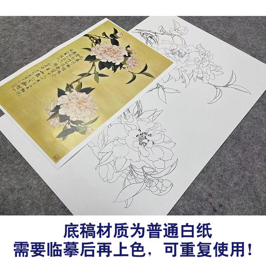 于非闇竖幅工笔花鸟白描底稿《云南山茶》-多种白描尺寸可选-YF43 商品图3