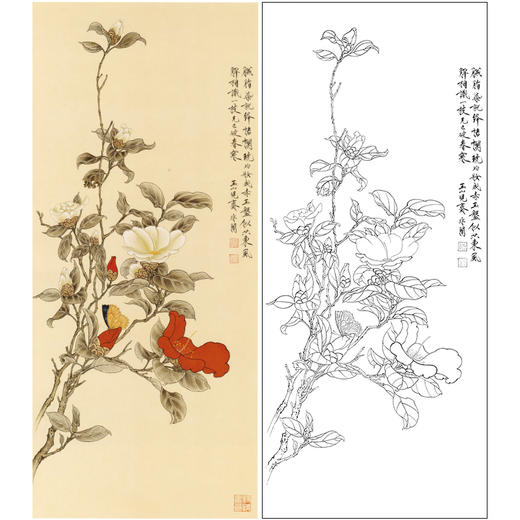 【大彩图】于非闇工笔画白描底稿《红白山茶》山茶花临摹勾线高清打印稿YF03 商品图0