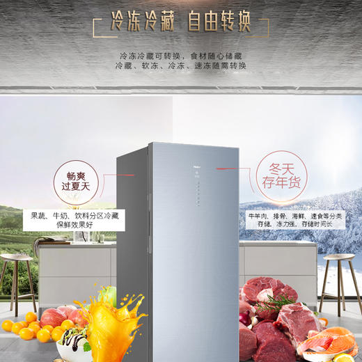 海尔BD-226WEGLU1立式冷冻柜 商品图5