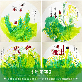 《油菜花》春天/3-4岁百佳精品PPT课件