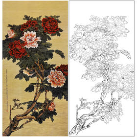【大彩图】于非闇工笔画白描底稿《二乔牡丹图》牡丹临摹勾线高清打印稿YF26