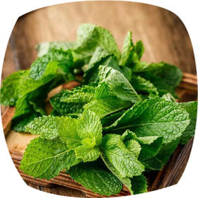 赞字村薄荷叶（严选）