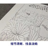 【大彩图】于非闇工笔画白描底稿《白荷蜻蜓》荷花临摹勾线高清打印稿YF06 商品缩略图4