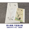 于非闇竖幅工笔花鸟白描底稿-水仙花蝴蝶-YF38 商品缩略图1
