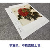 于非闇工笔花鸟白描底稿-红牡丹-斗方小品册页-YF30 商品缩略图2