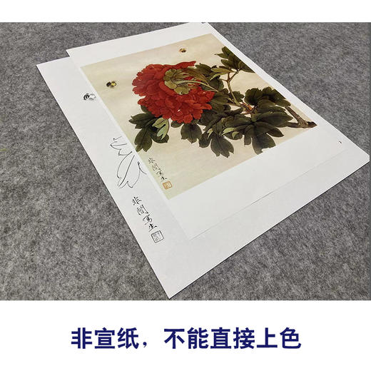 于非闇工笔花鸟白描底稿-红牡丹-斗方小品册页-YF30 商品图2