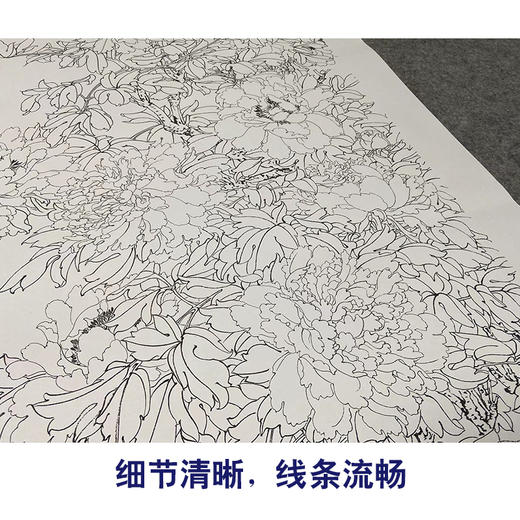 于非闇竖幅工笔花鸟白描底稿-牡丹双鸽-YF76 商品图4