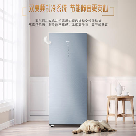 海尔BD-226WEGLU1立式冷冻柜 商品图0