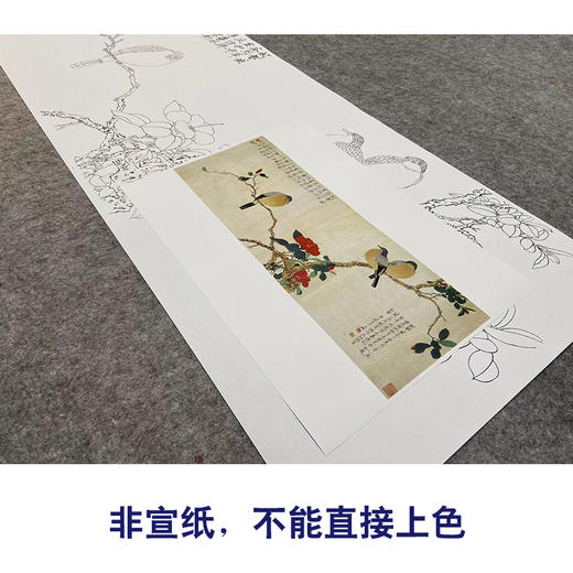 于非闇横幅工笔花鸟白描底稿-茶花斑鸠-YF20 商品图2