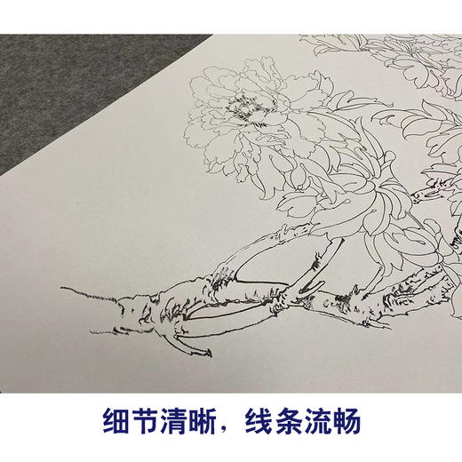 于非闇竖幅工笔花鸟白描底稿-白牡丹-YF05 商品图4
