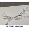 【大彩图】于非闇横幅工笔画白描底稿《红梅鹧鸪图》临摹勾线高清打印稿A190 商品缩略图4