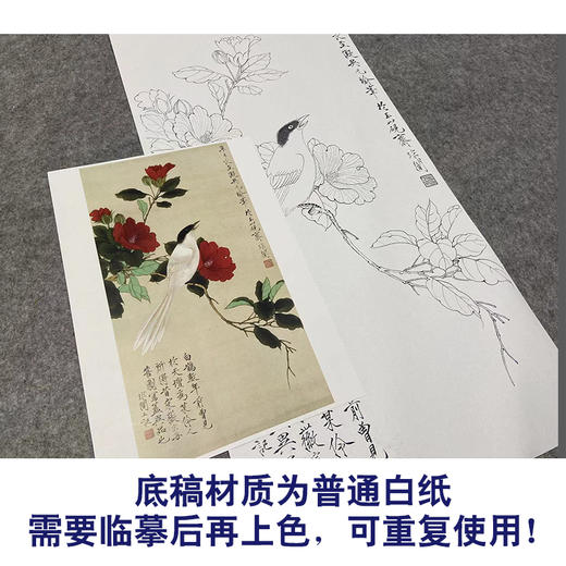 于非闇竖幅工笔花鸟白描底稿山茶花《白雀图》-多种白描尺寸可选-YF45 商品图3
