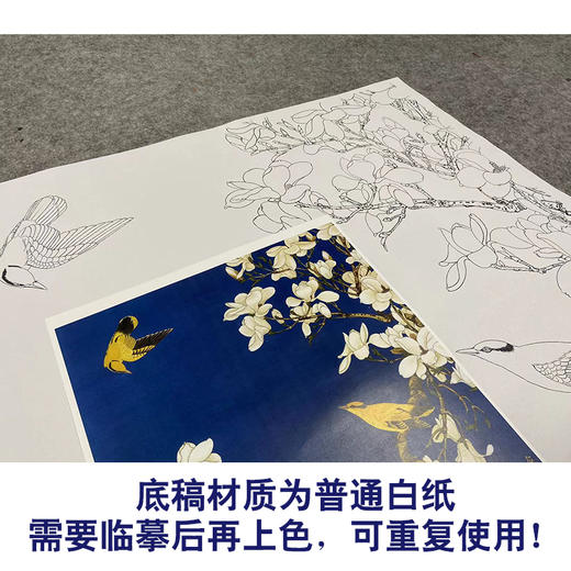 于非闇工笔花鸟白描底稿-玉兰花黄鹂-斗方小品册页-YF87 商品图3