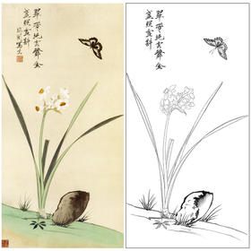 于非闇竖幅工笔花鸟白描底稿-水仙花蝴蝶-YF38