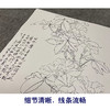 于非闇竖幅工笔花鸟白描底稿-牵牛花-YF21 商品缩略图4