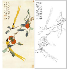 于非闇竖幅工笔花鸟白描底稿-柿子-事事如意《红柿绶带》-多种白描尺寸可选-YF49
